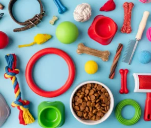 Best Chew Toys For Your Pet